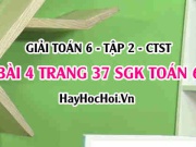 Giải bài 4 trang 37 Toán 6 Tập 2 SGK Chân trời sáng tạo